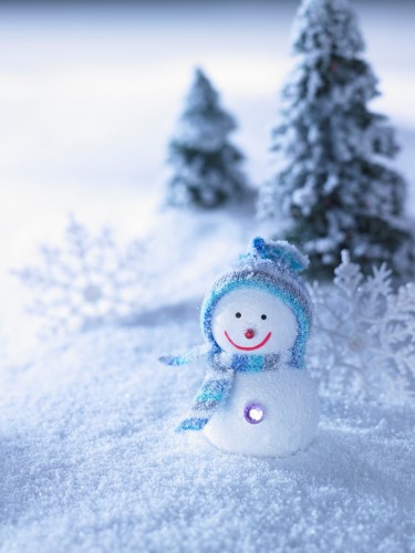 Topic Images_A Cute Snowman_YEdgQ2Y